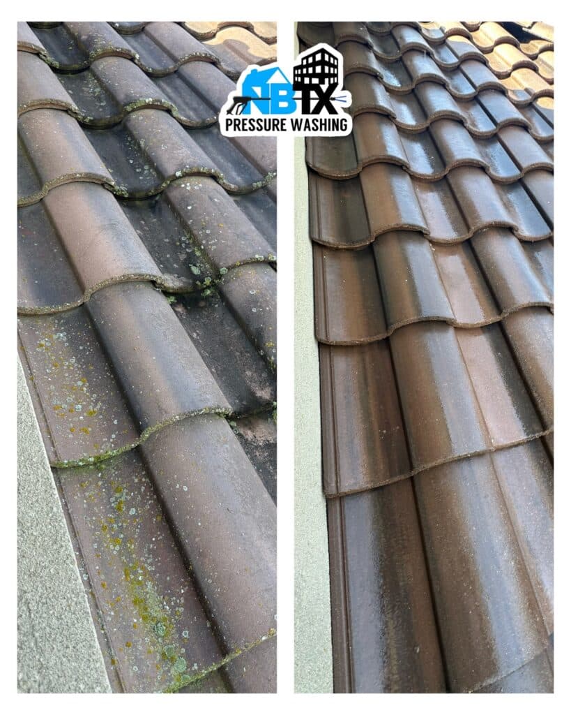 roof cleaning